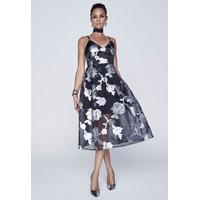 *Available for pre-order* Alesha Dixon Sheer Floral Prom Dress