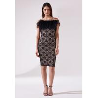 *Available for pre-order* The LBD Kate Dress in Lace