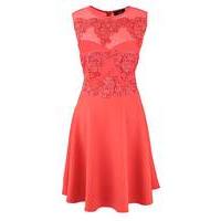 AX Paris Lace Contrast Skater Dress