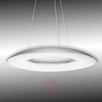 Ayr LED Hanging Light Dimmable Single-Bulb
