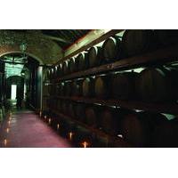 Azeitao: Wine Experience Guided Tour From Lisbon