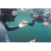 Azores Snorkeling Experience