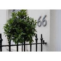 +B BELGRAVIA STUDIOS@82