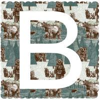 B is For Bear By Clare Halifax