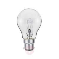 B22d 42W Halogen multi-purpose bulb pear shape