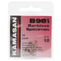 B981 Eyed Barbless Hooks - Size 10
