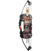 Barnett Banshee Junior Archery Compound Bow Arrow