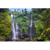 Bali Paradise Waterfall Trekking Tour