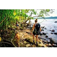 Bastimentos Bush and Beach Hike