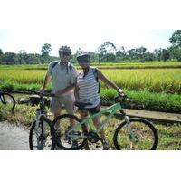 Bali Cycling Eco Tour with Buffet Lunch