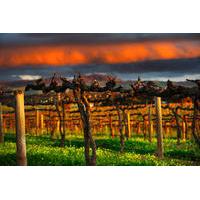 Barossa Valley Scenic Flight