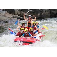 barron gorge national park half day white water rafting from cairns or ...