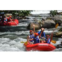 Bali Shore Excursion: White Water Rafting and Coffee Plantation or Agro Tourism Visit