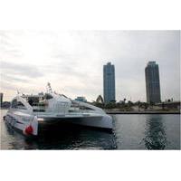 barcelona small group walking tour with eco boat cruise and helicopter ...