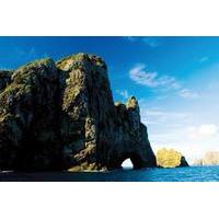 Bay of Islands Cape Brett \'Hole in the Rock\' Cruise