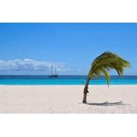 barbados shore excursion island highlights half day tour