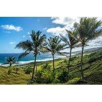 Barbados Half-Day Island Tour