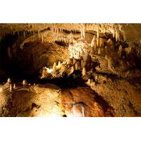 Barbados Shore Excursion: Natural Wonders and Harrison\'s Cave Tour