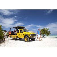 Baby Beach Jeep Adventure