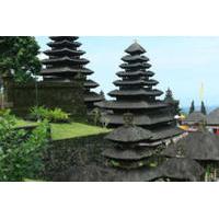 Bali Pura Luhur Batukaru Temple and Cultural Small Group Tour