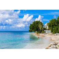 Barbados Island and Beach Tour