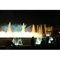 Barcelona by Night Electric Bike Tour and Magic Fountain Show