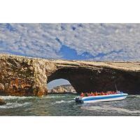 ballestas islands group tour from san martin port