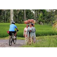 Bali Adventure Mountain Bike Tou...