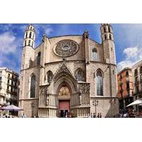 Barcelona 4-Hour Picasso Museum and Private Walking Tour of Borne or Gothic Quarter
