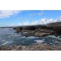 Barbados Shore Excursion: Coastal Sightseeing Tour