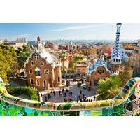 Barcelona Highlights Private Day Tour including Park Guell