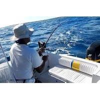 Barbados Bottom Fishing Tour