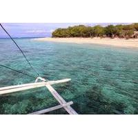 Balicasag Island Day Trip