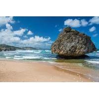 Barbados Shore Excursion: Barbados in a Day Tour