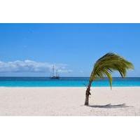 Barbados Paradise Sightseeing Tour