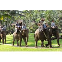 Bali Elephant Safari Park with Buffet Lunch