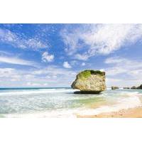 Barbados Scenic Tour Including Bathsheba Sunbury Plantation