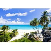 Barbados Coastal Beach Sightseeing Tour