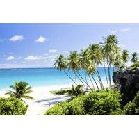 Barbados Private Custom Island Tour