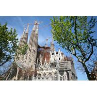 Barcelona Shore Excursion: Best of Barcelona Small-Group Tour - Skip the Line at La Sagrada Familia