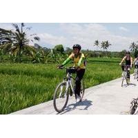 Bali Mountains and Villages Cycling Tour