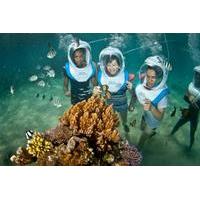 Bali Reef Cruise and Lembongan Island Day Trip