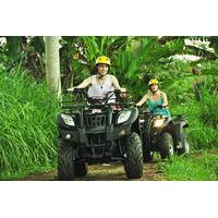 Bali Quad Bike Adventure