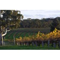 Barossa Valley with Hahndorf Tour from Adelaide