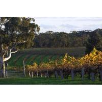 barossa valley with hahndorf tour from adelaide