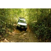 Barron Gorge and Kuranda National Park Half Day Rainforest and Waterfall 4WD Tour from Cairns