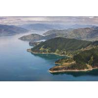 Bay of Many Coves Helicopter Tour with 3-Course Lunch from Wellington