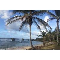 Barbados Tour of Harrison\'s Cave, Cherry Tree Hill and Animal Flower Caves with Lunch