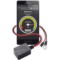 Battery monitor 6 V, 12 V, 24 V GL10 Battery-Guard Bluetooth support, App-enabled, Charge monitoring Intact Battery Guar