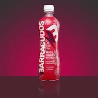 Barracudos Protein Vit Water Raspby/Pome 500ml